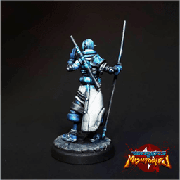 Elanon Silverwind - Elf Shinobi Wizard 3d model