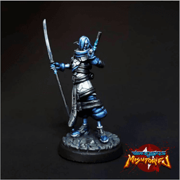 Elanon Silverwind - Elf Shinobi Wizard 3d model