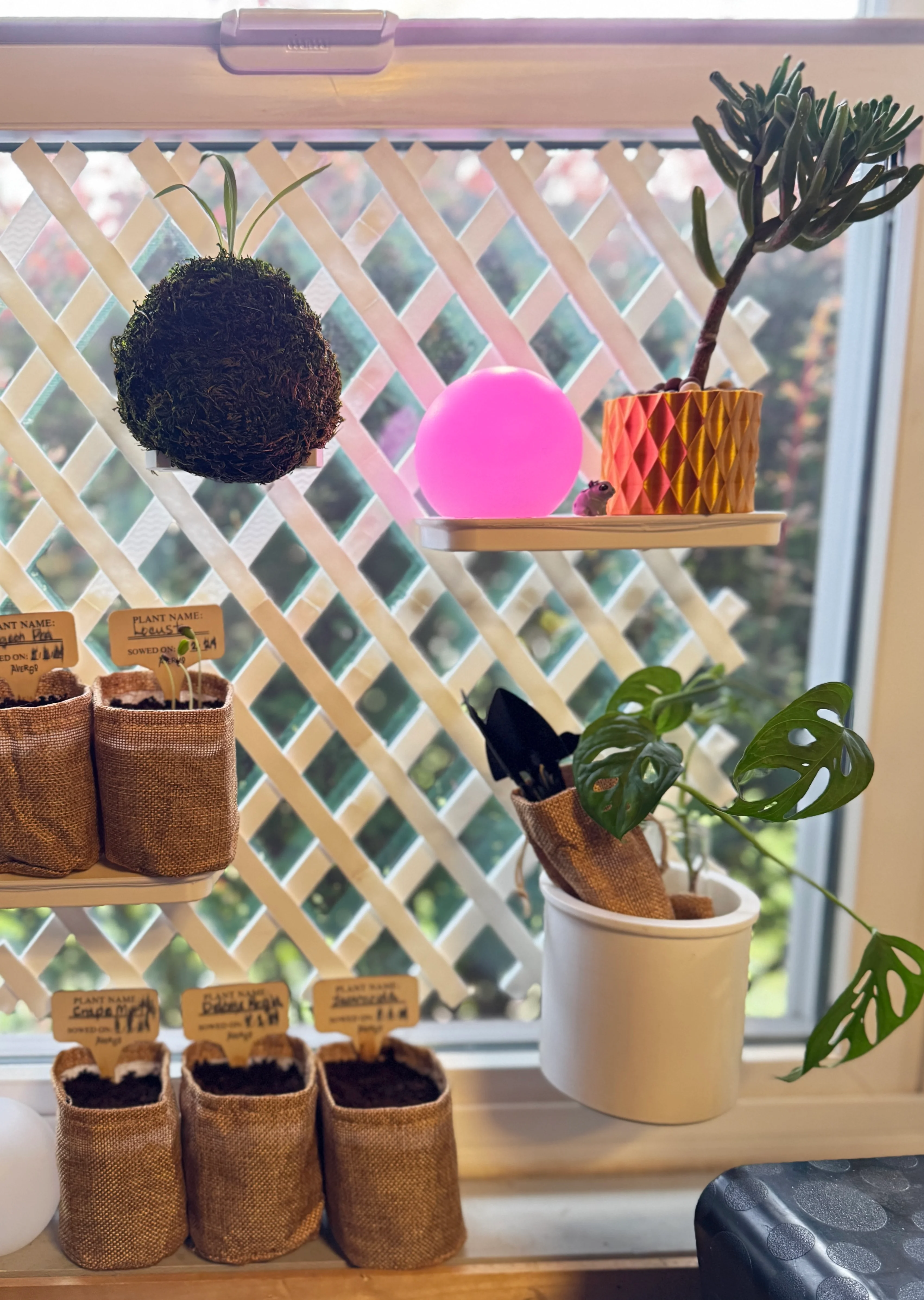 Used some heavy-duty double-sided tape to secure. I really love being able to put something on these windows like this! The window can still open and isn't a window we can see out because it is a basement level. So really adds a nice way for me to have low light plants or starters. In this case my bonsai sprouts! I used the cup holder for the Kokedama which makes me just want to do a few more and cover the other window which just a bunch of those. Thats if I can get them to grow of course :-) Love the versatility and look forward to all the things my brain is already creating with it.