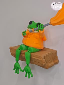 Fox Raincoat Frog 3d model