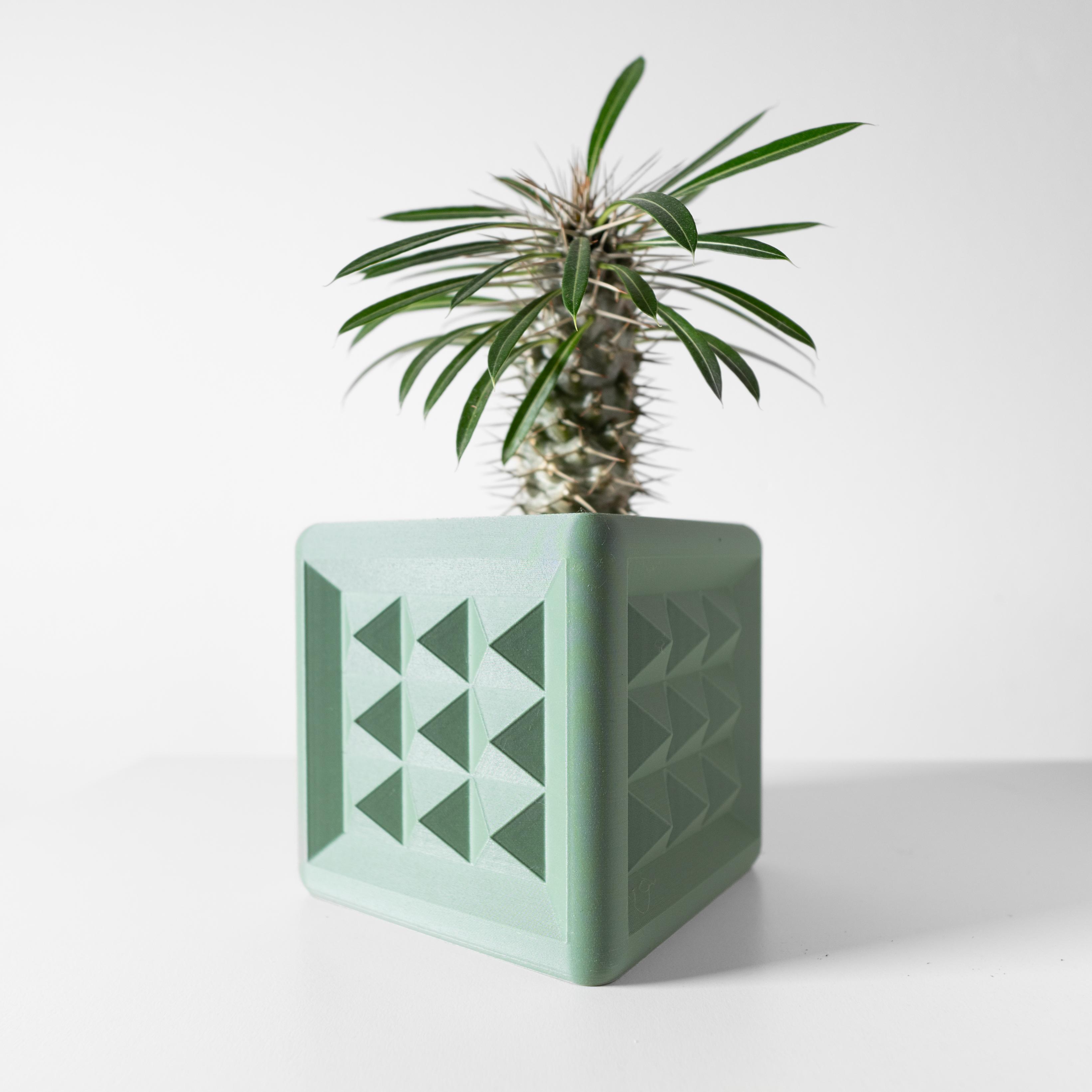 The Novo Square Planter Pot with Drainage Tray: Modern and Unique Home Decor for Plants 3d model