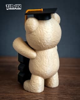 TEDDY BEAR GRADUATION - 2026 EDITION 3d model