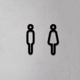 Toilet Sign 3d model