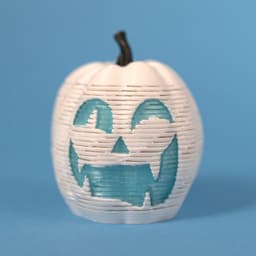 Springo Jack-O-Lantern (Small) 3d model