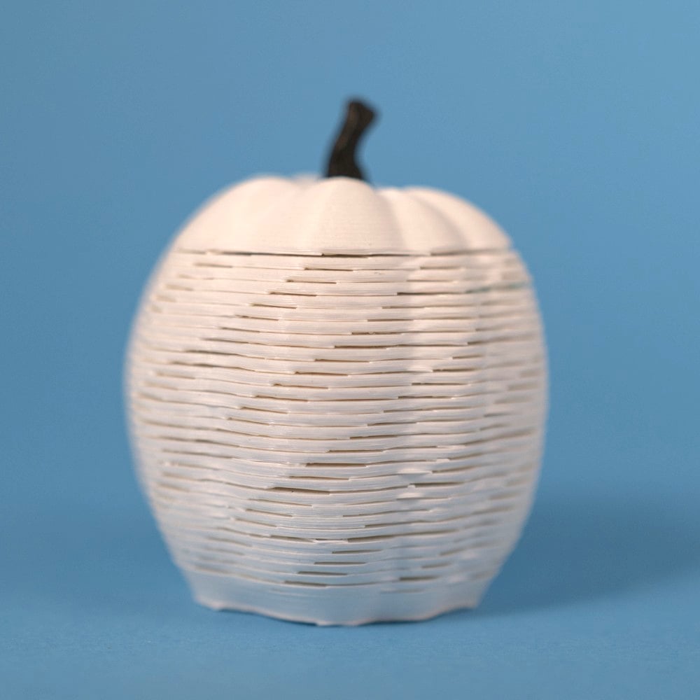 Springo Jack-O-Lantern (Small) 3d model