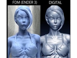Scale 1:3 Resident Evil's Ada wong 3d model