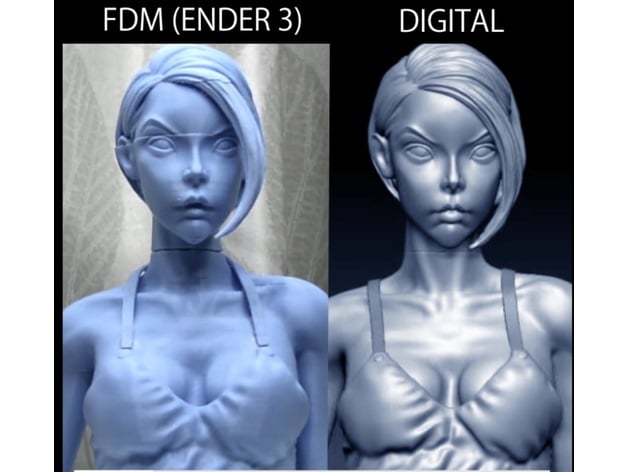 Scale 1:3 Resident Evil's Ada wong 3d model