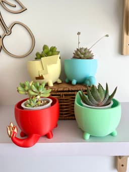 SET OF 4 MINIMALIST POKEMON PLANTERS / PIKACHU / BULBASAUR / CHARMANDER/ SQUIRTLE 3d model