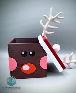 Rudolph Box 3d model