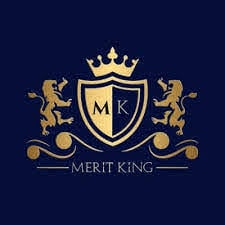 Meritking Sosyal Adresi 3d model