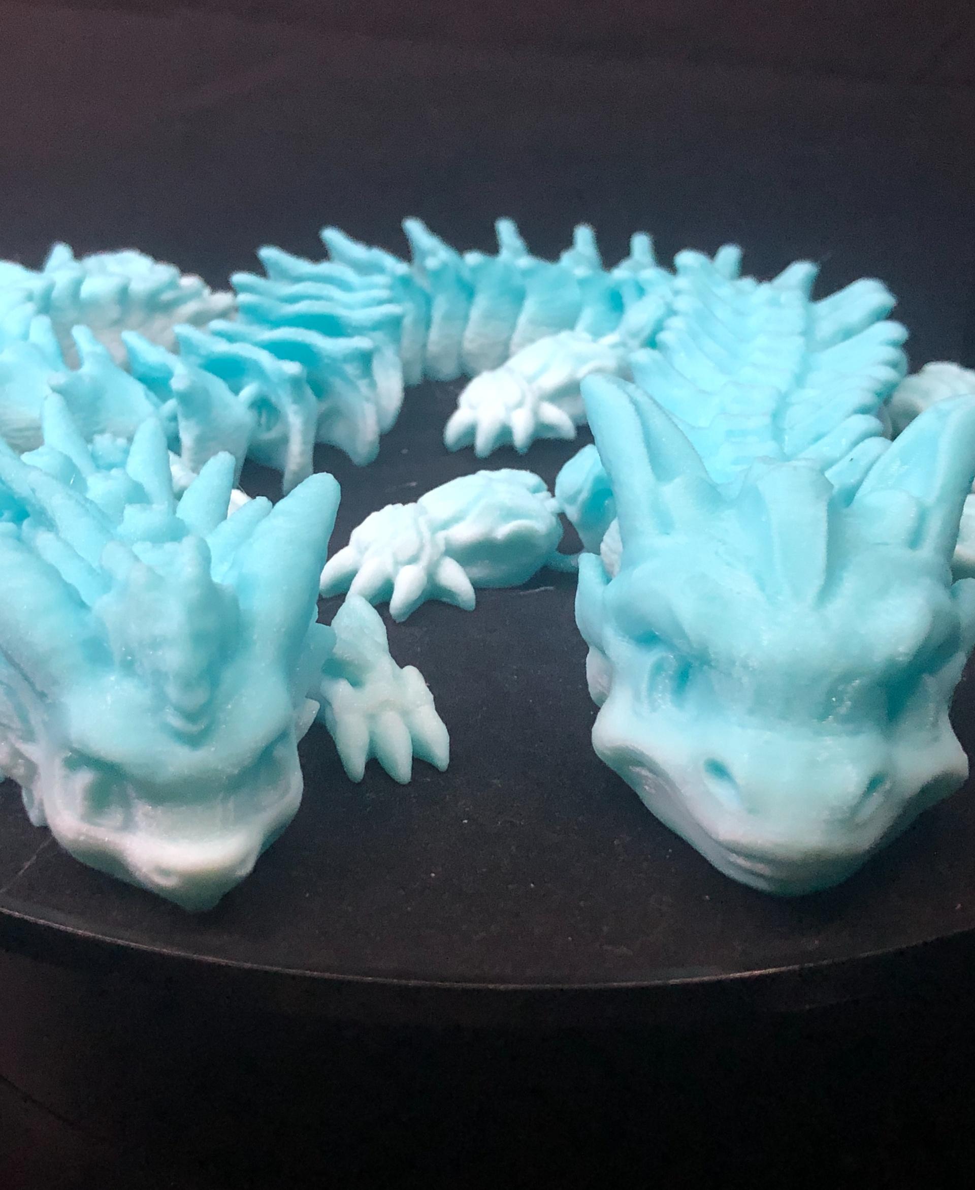 Cold Spell, Winter Dragon - Articulated Dragon Snap-Flex Fidget (Medium Tightness Joints) - Coldsnap and Coldspell in blue-white gradient PETG printed on Bambu A1 at 0.2 layer height, Generic PETG profile. - 3d model