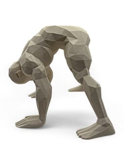 Prasarita Padottanasana (Wide-Leg Forward Fold) 3d model