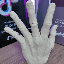 Articulated Hand ( No Supports ) 3d model