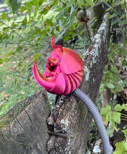 Armadillo 3d model
