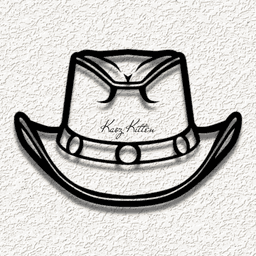 country hat WALL ART HOME DECOR 3d model