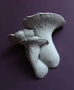 Mushroom shelf “Pleurotus Eryngii" 3d model