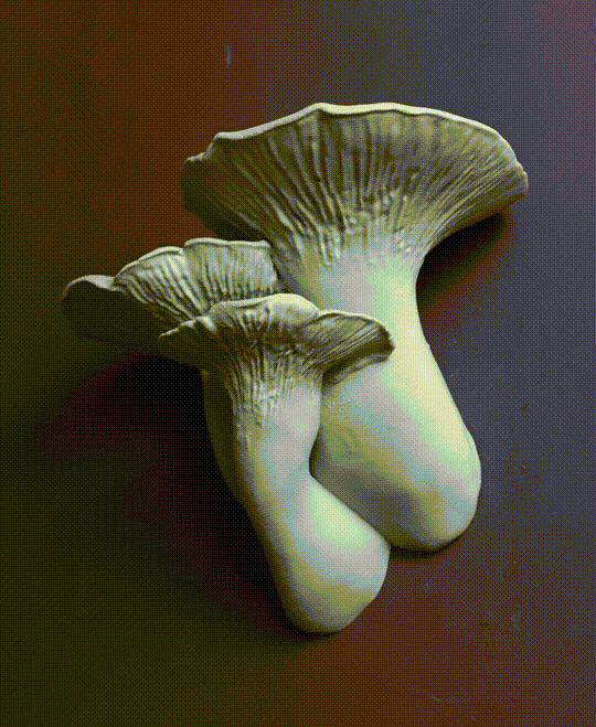 Mushroom shelf “Pleurotus Eryngii" 3d model