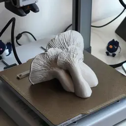 Mushroom shelf “Pleurotus Eryngii" 3d model
