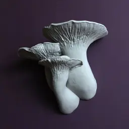 Mushroom shelf “Pleurotus Eryngii" 3d model