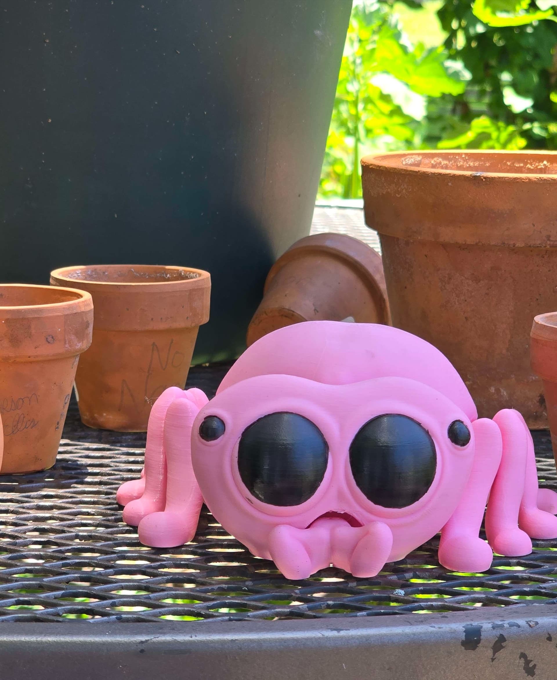 Pink is the best color for a cute little spider, right? Well..this guy is actually pretty big - 168g for reference!