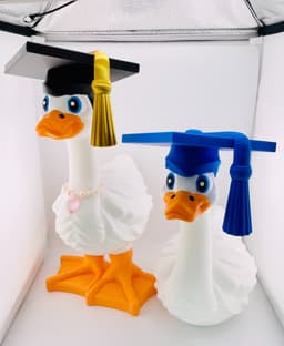 Graduation Cap Goose Gear for Porch Goose 3d model