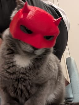 Daredevil Cat Cowl 3d model