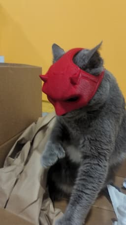 Daredevil Cat Cowl 3d model