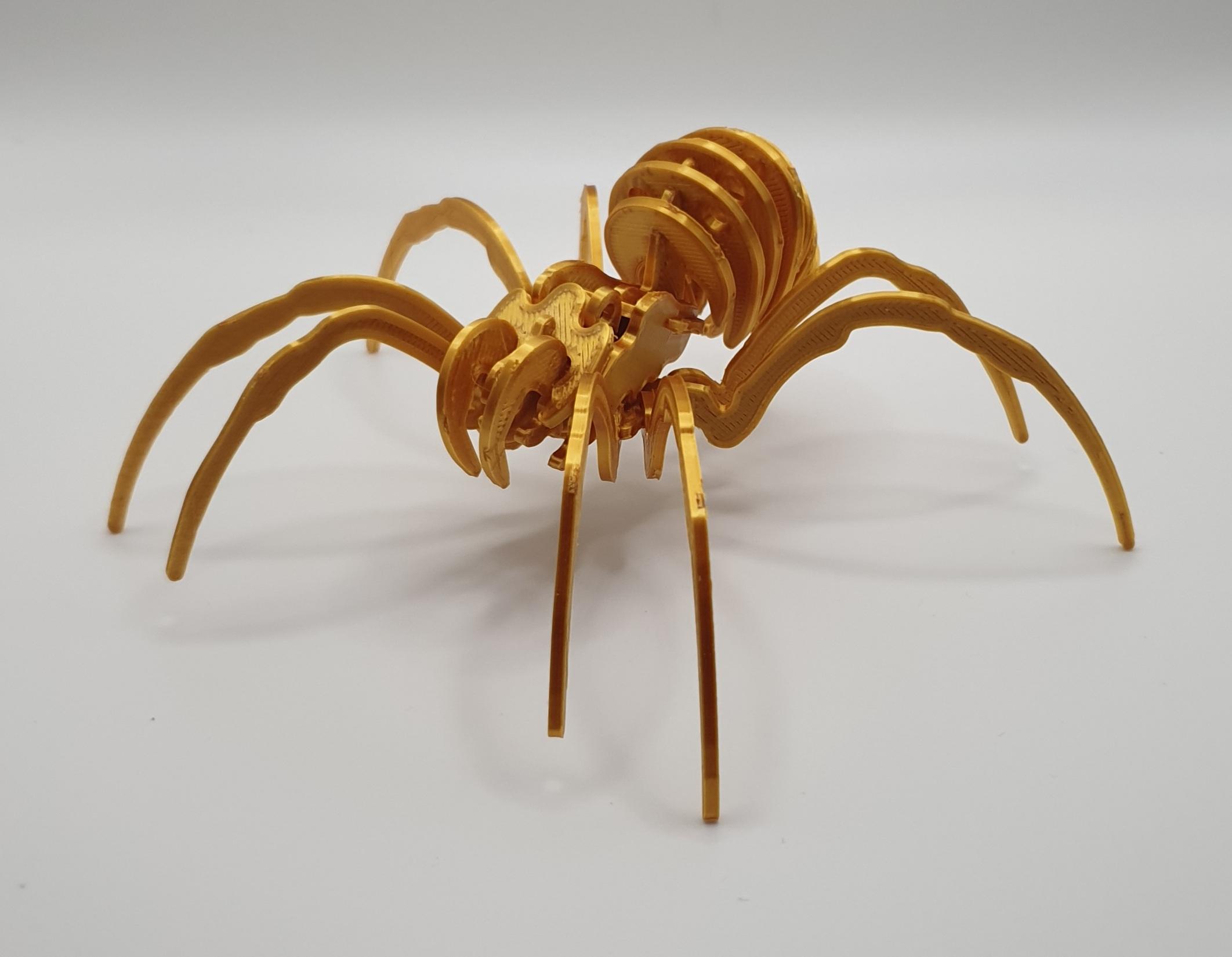 SPIDER KIT CARD 3d model