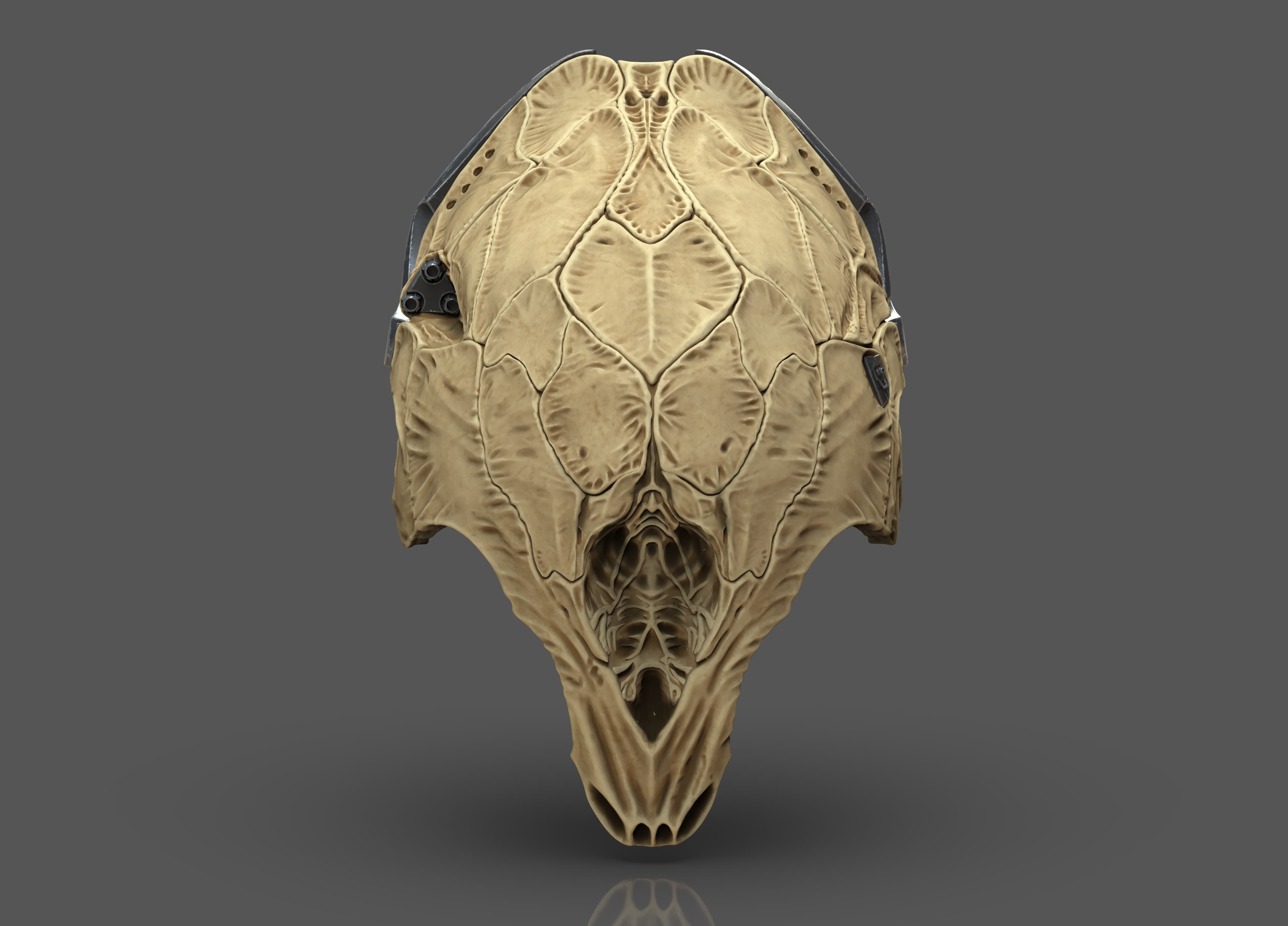 Prey Predator Mask 3d model
