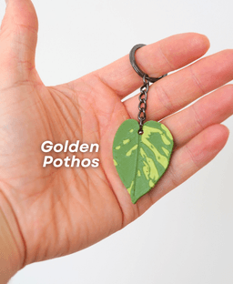 Leafy Keys Pack II - Houseplant Keychains - For Car Key Ring and House Keys 3d model