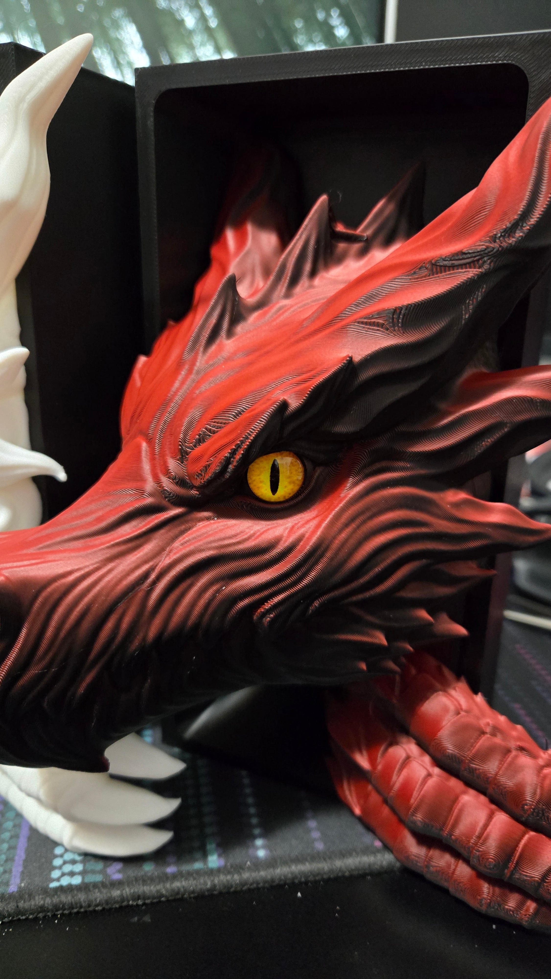 Sunlu Dual filament in Black and red.