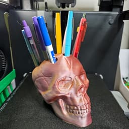 Skull Pen Holder 3d model