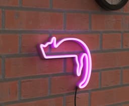 GATO Cartel Neon LED 3d model