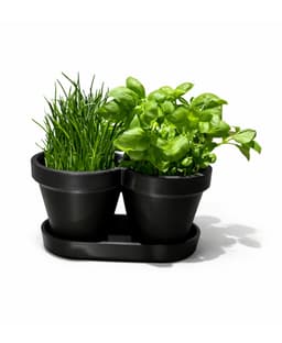 HERBS PLANTER POT / BASIL / CHIVES / KITCHEN GADGETS / ORGANIZER / HOMEDECOR / TOOLS 3d model