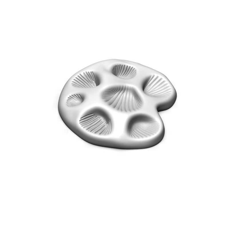 small shell bowl 3d model