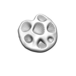 small shell bowl 3d model