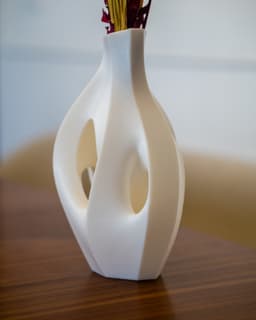 Organic Sculptural Dry Flower Vase 3d model