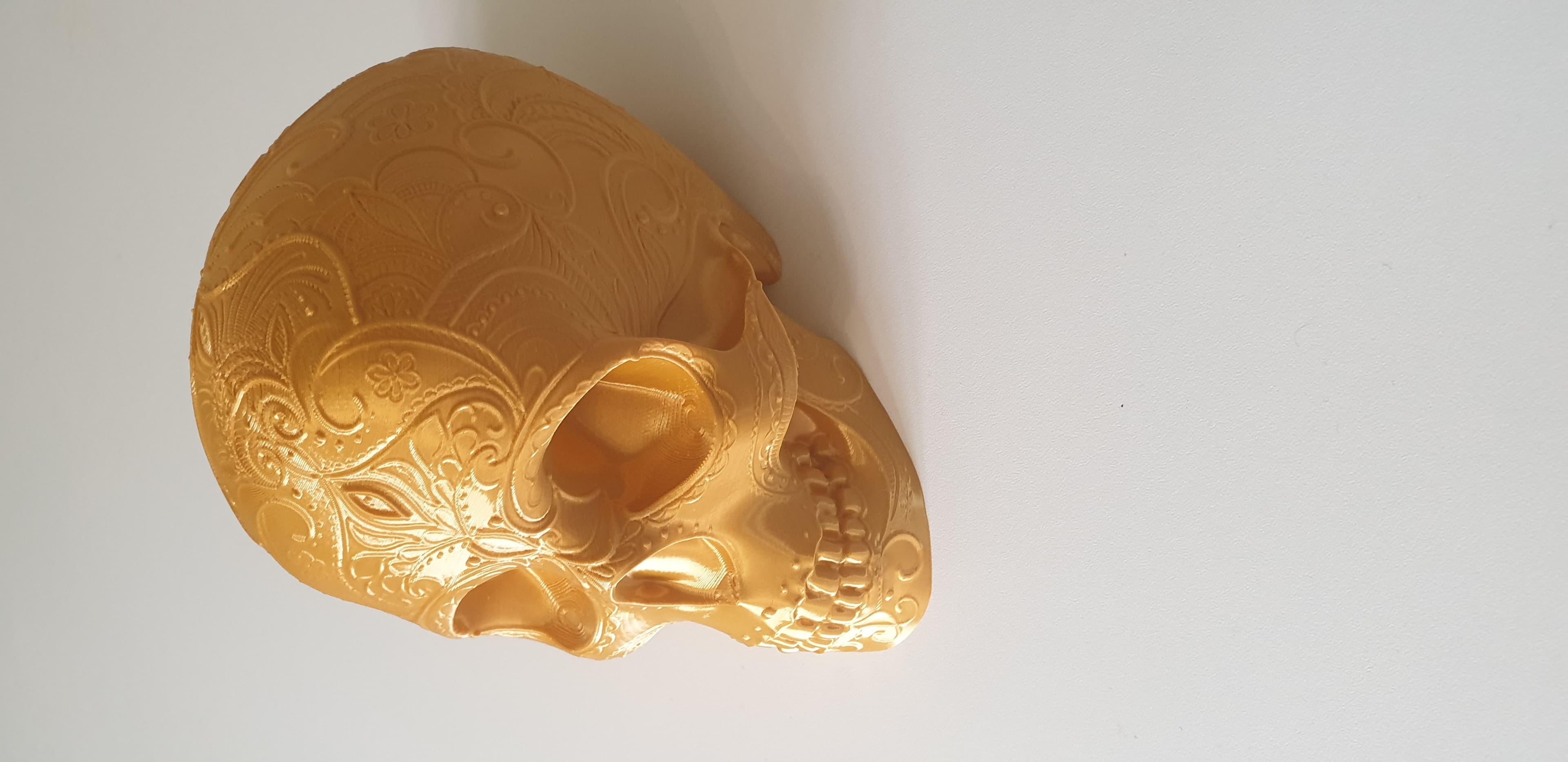 Mandala Skull - 45' View