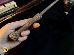 Harry Potter’s 2nd Wand - Harry Potter 3d model