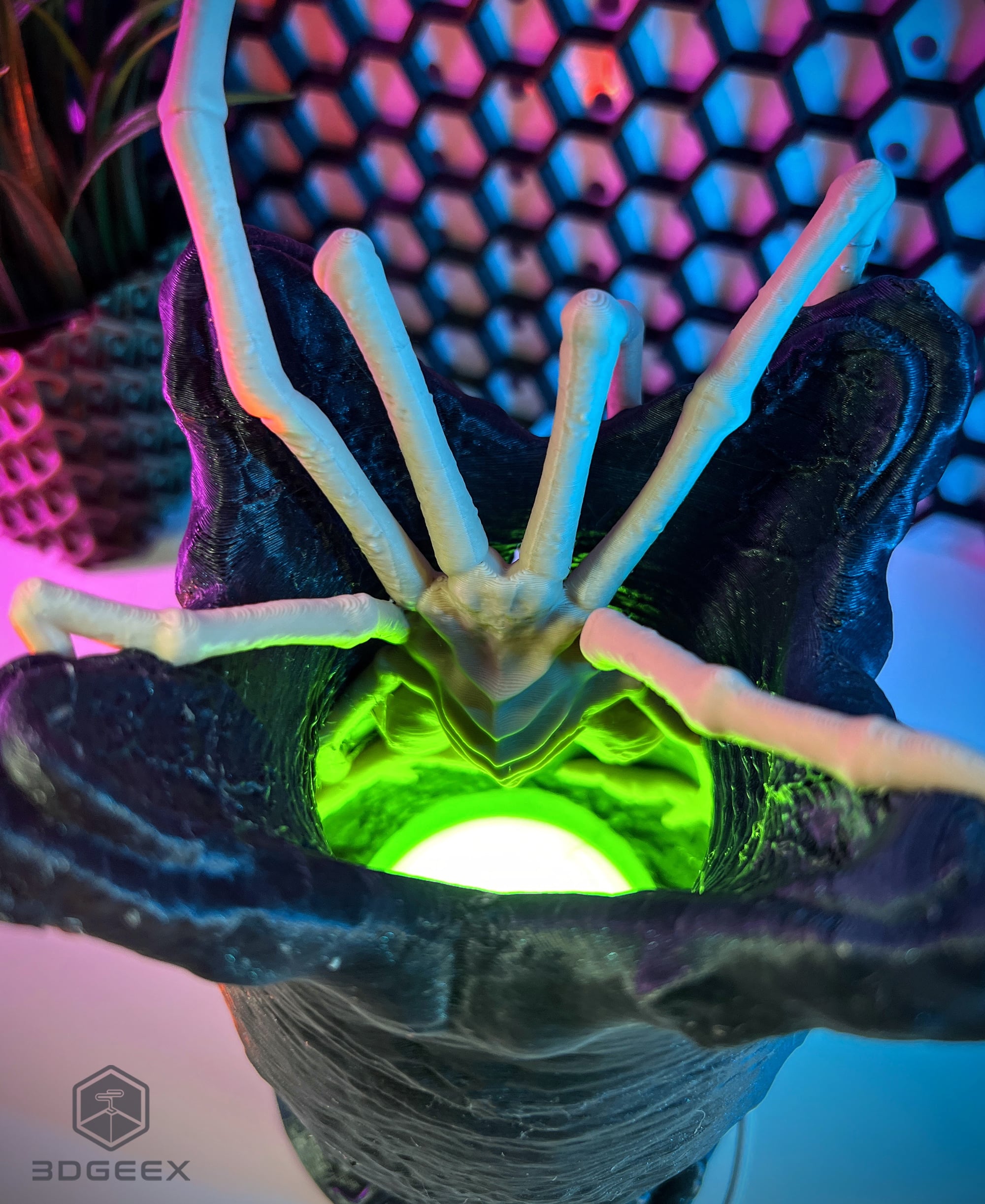 The Ovomorph Lamp 3d model