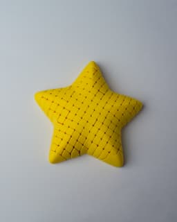 Floppy Star 3d model