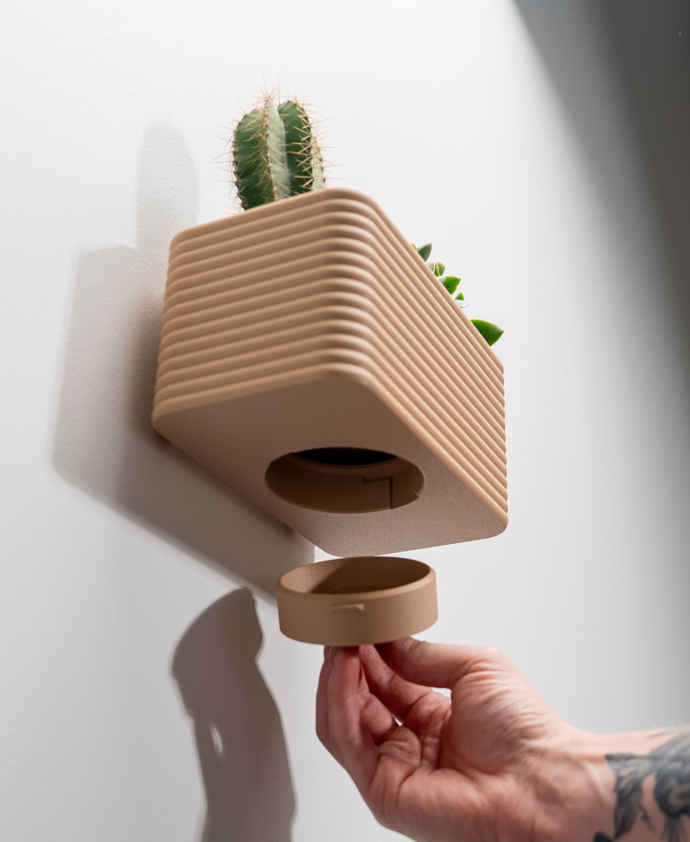 Wide Wall Planter - Poppy 3d model