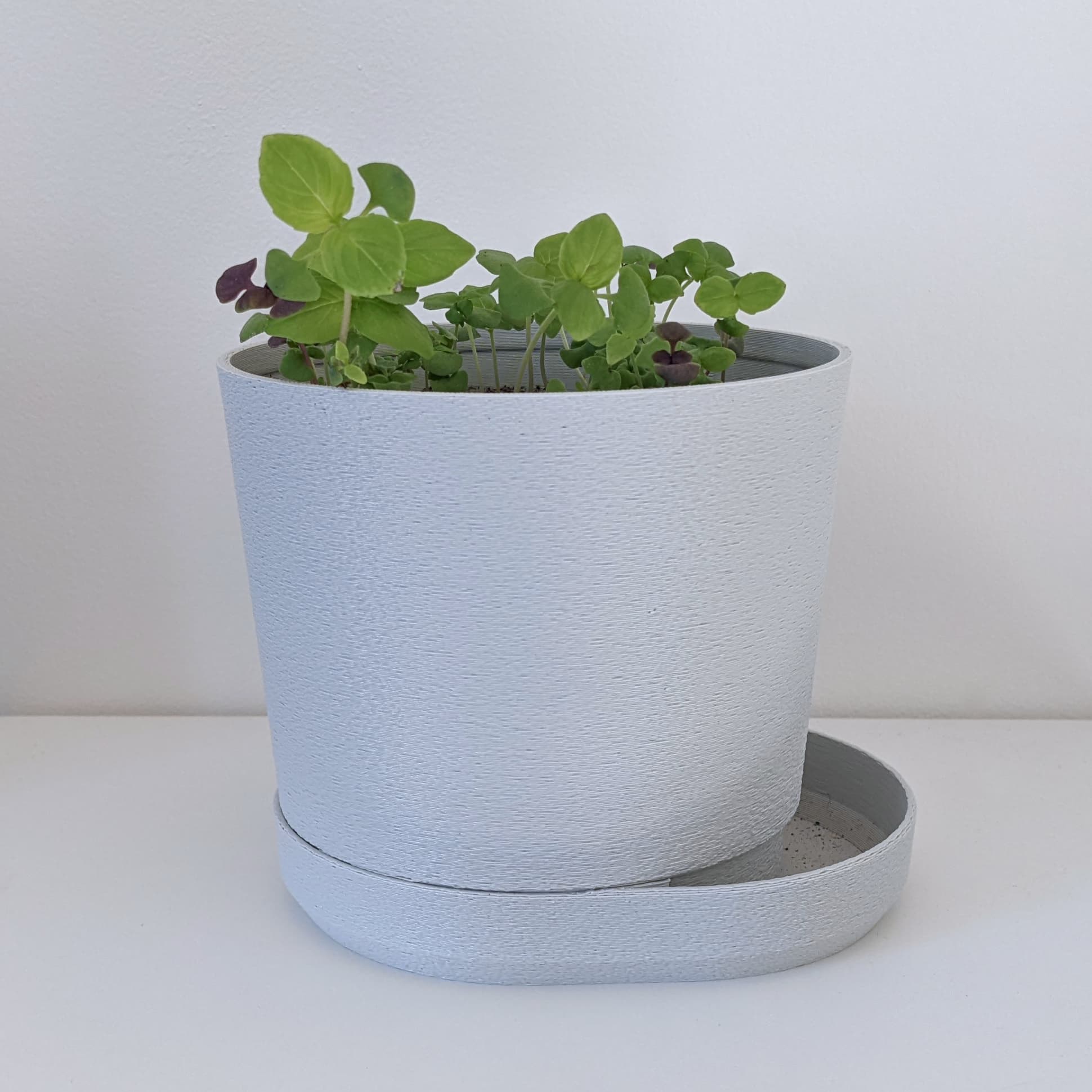PLANTER 03 3d model