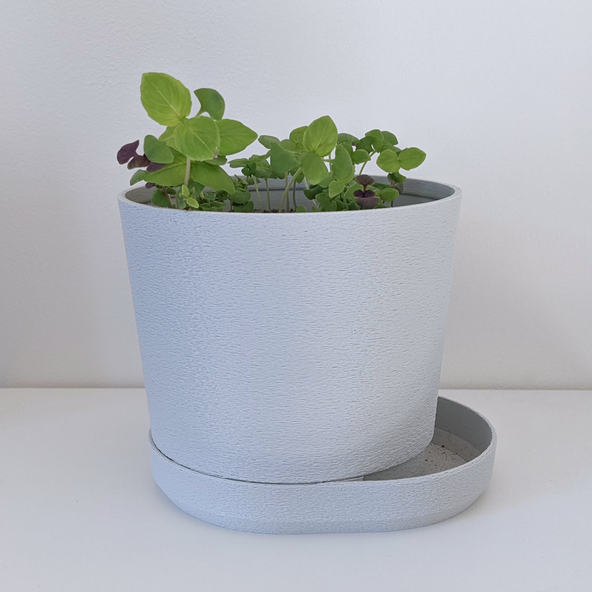 PLANTER 03 3d model