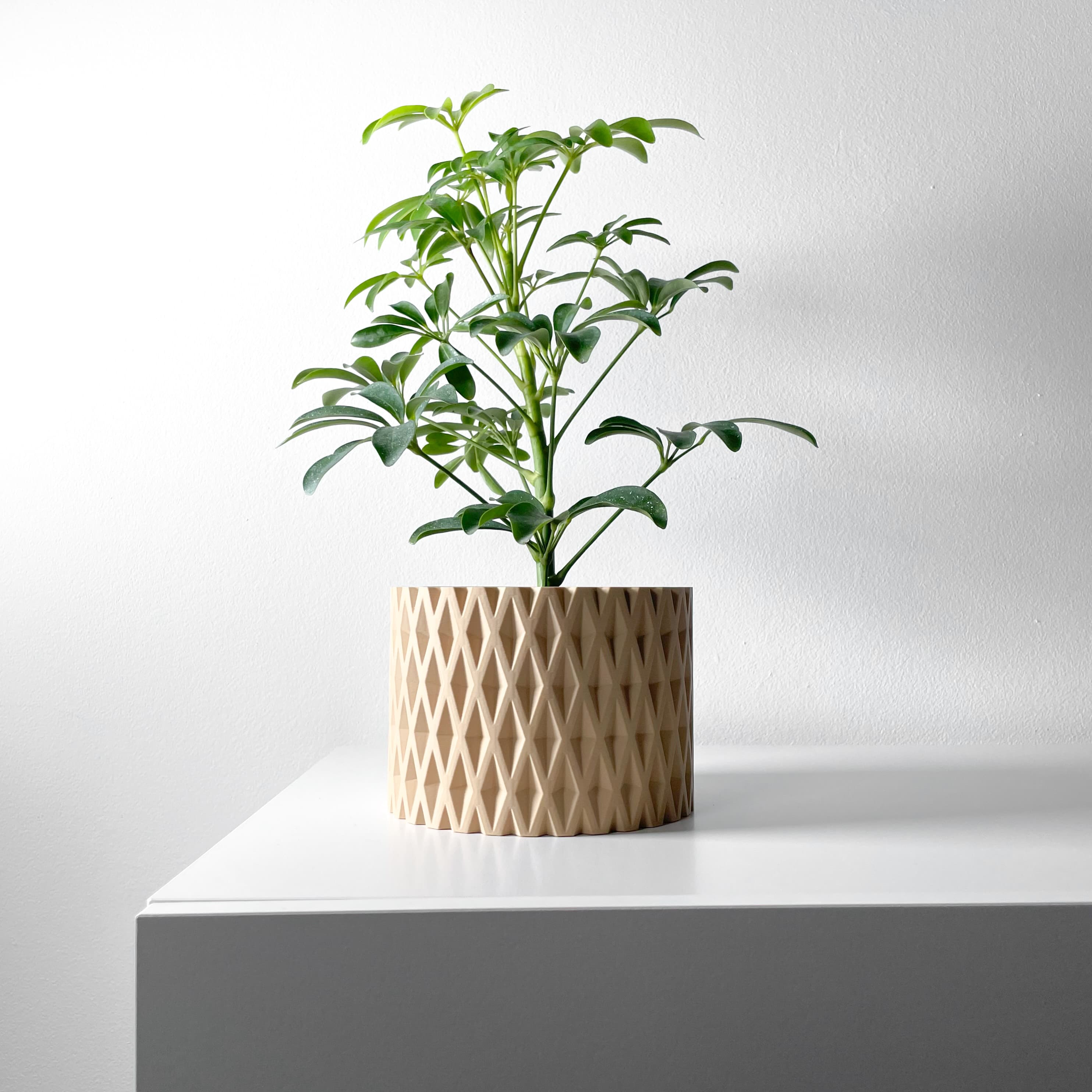The Grivan Planter Pot with Drainage Tray & Stand Included | Modern and Unique Home Decor 3d model