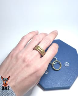 Braided Ring 3d model
