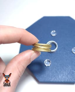 Braided Ring 3d model