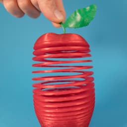 Tasty Springos Pack No.1 3d model