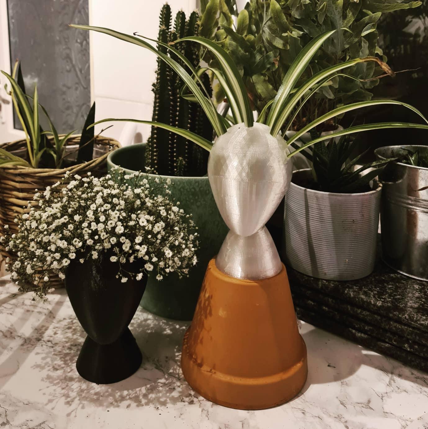 Head Vase 3d model