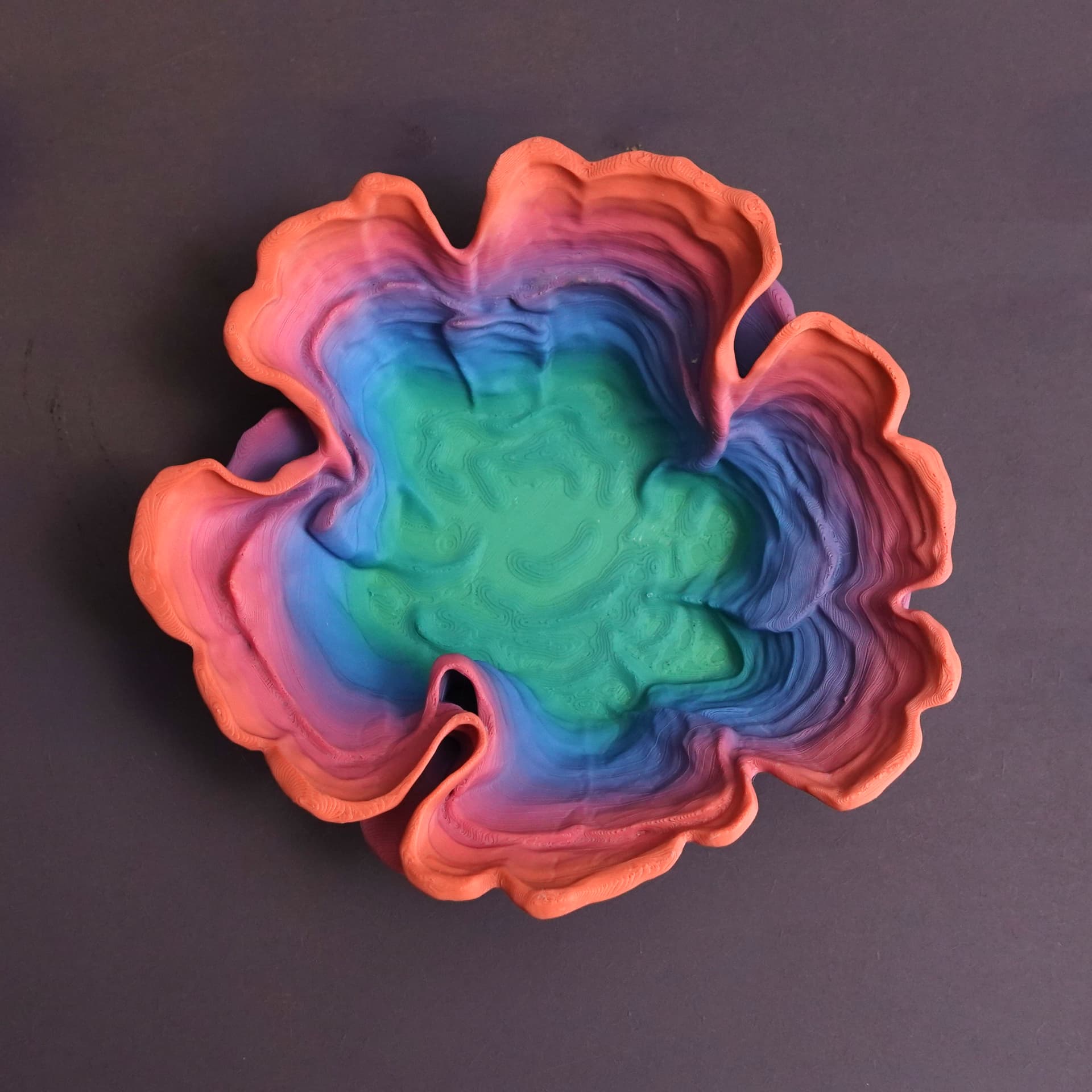 Mushroom bowl āStereum Hirsutumā 3d model